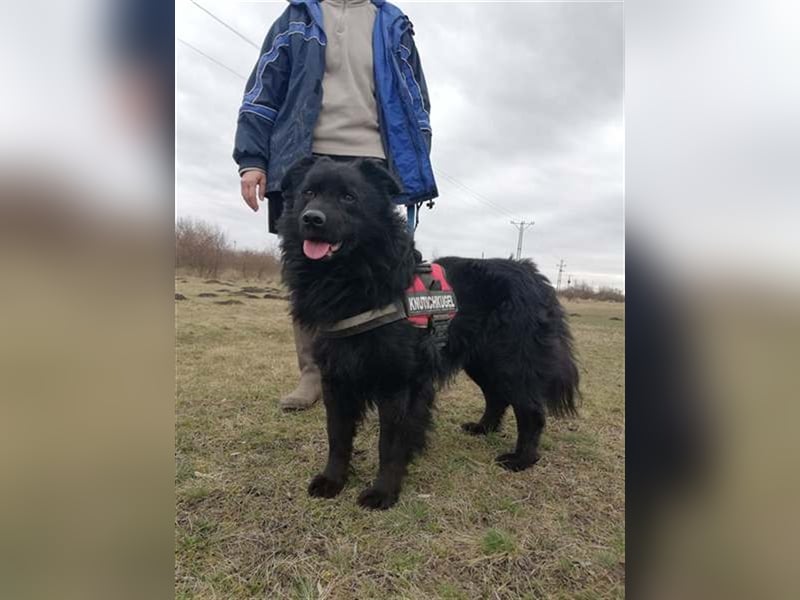 ZUZMO, wuscheliger Einzelprinz sucht dich