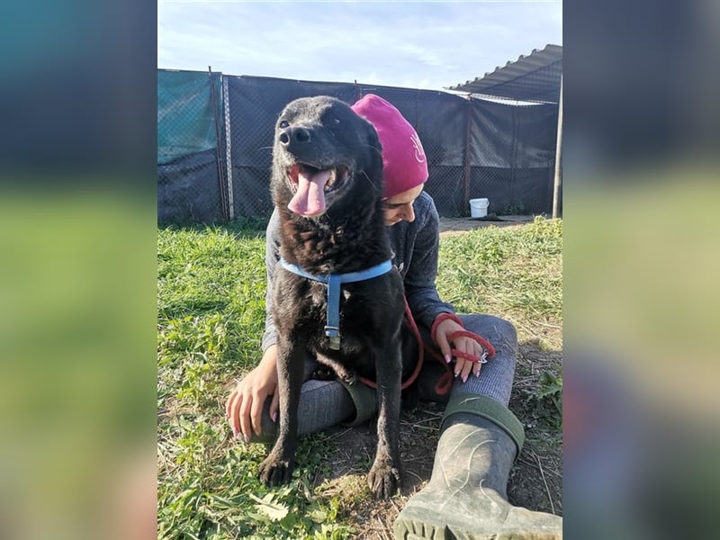 MYLO – genießt die menschliche Nähe sehr