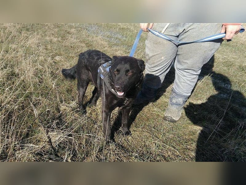 MYLO – genießt die menschliche Nähe sehr