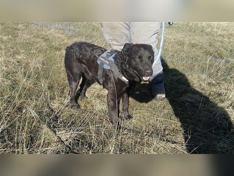 MYLO – genießt die menschliche Nähe sehr