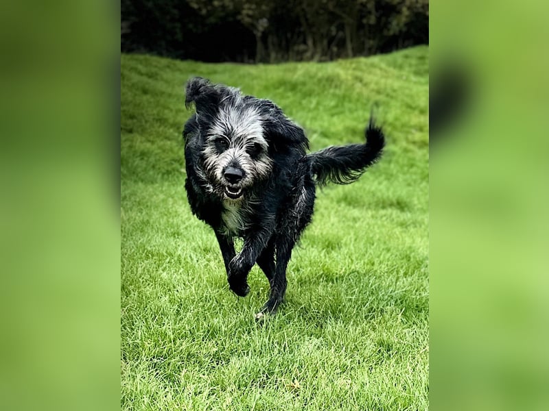 Luka sucht seinen Mensch