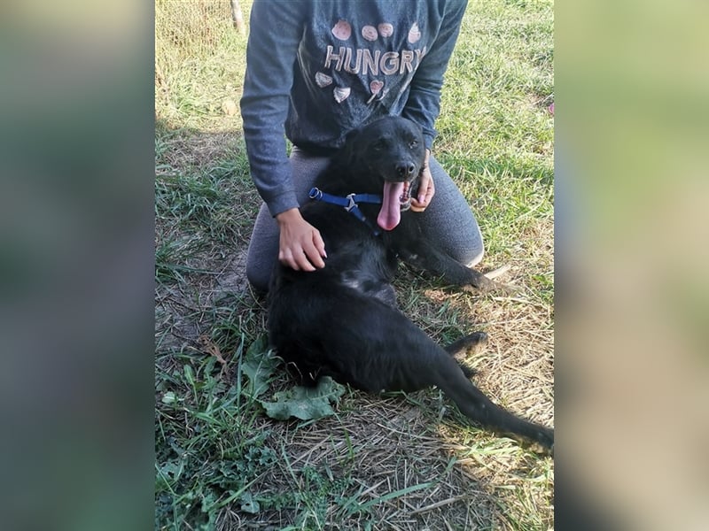 MYLO – genießt die menschliche Nähe sehr