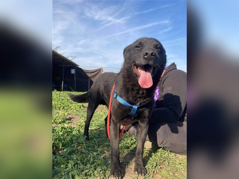 MYLO – genießt die menschliche Nähe sehr