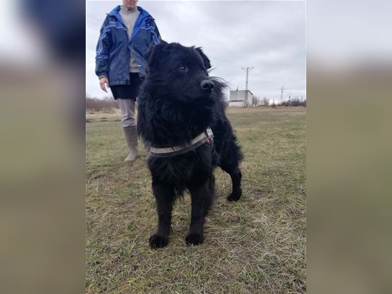 ZUZMO, wuscheliger Einzelprinz sucht dich