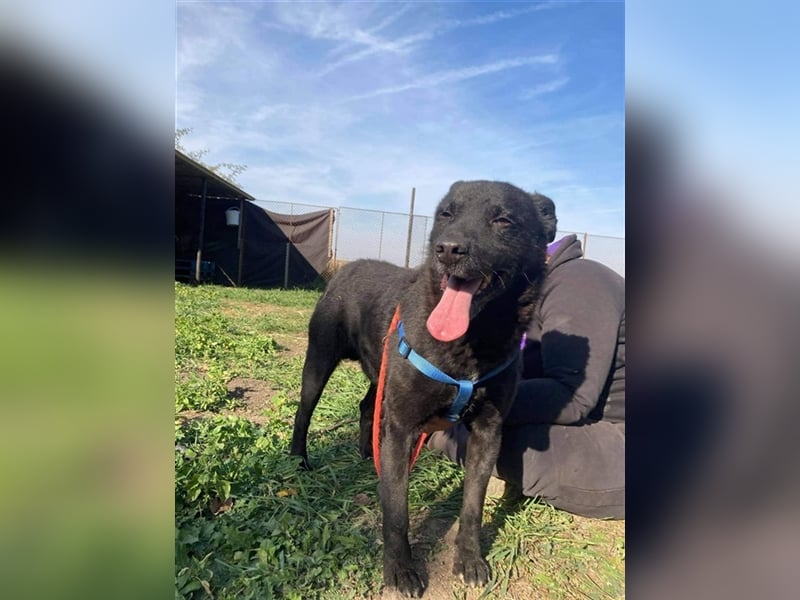 MYLO – genießt die menschliche Nähe sehr