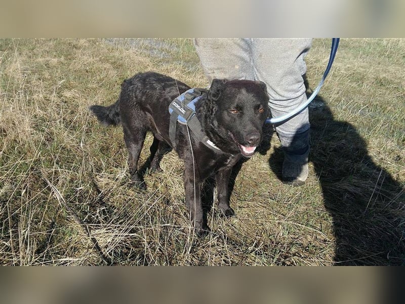 MYLO – genießt die menschliche Nähe sehr