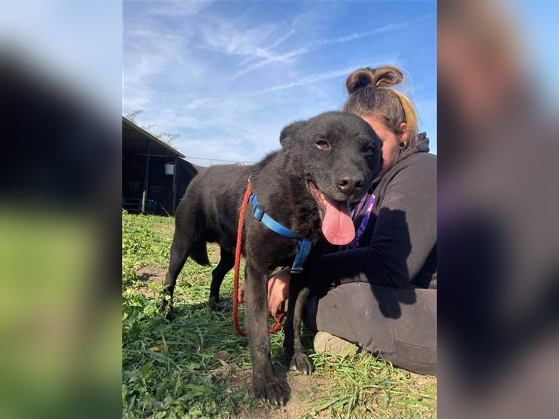 MYLO – genießt die menschliche Nähe sehr