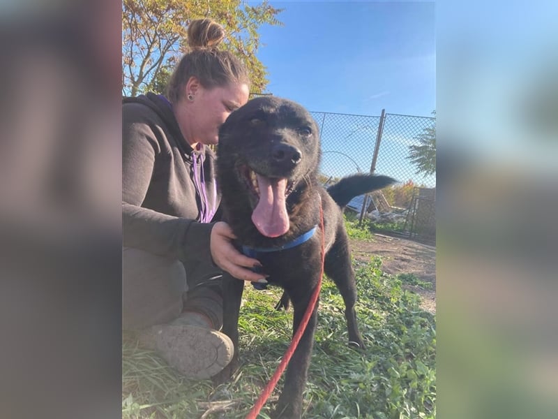 MYLO – genießt die menschliche Nähe sehr