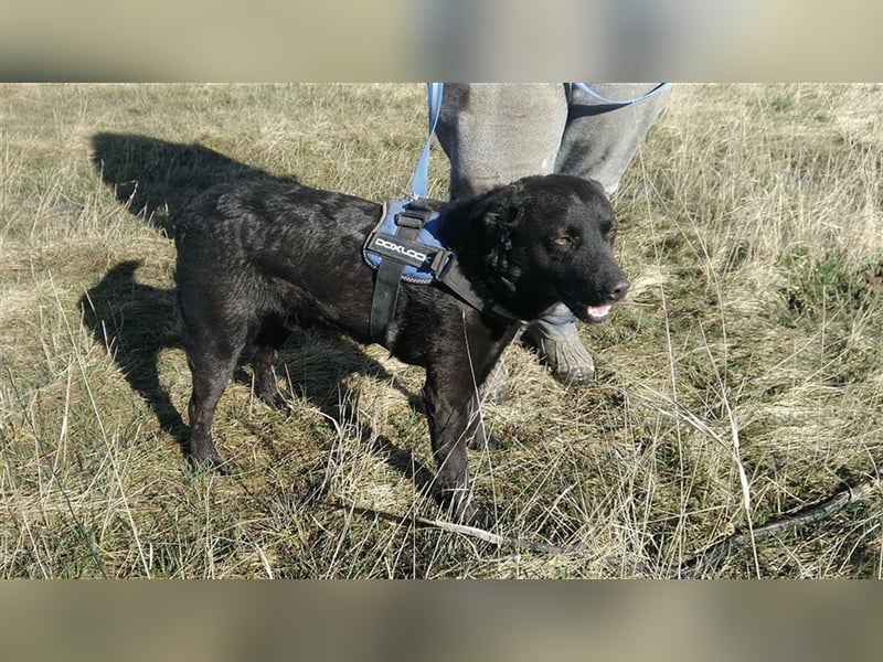 MYLO – genießt die menschliche Nähe sehr