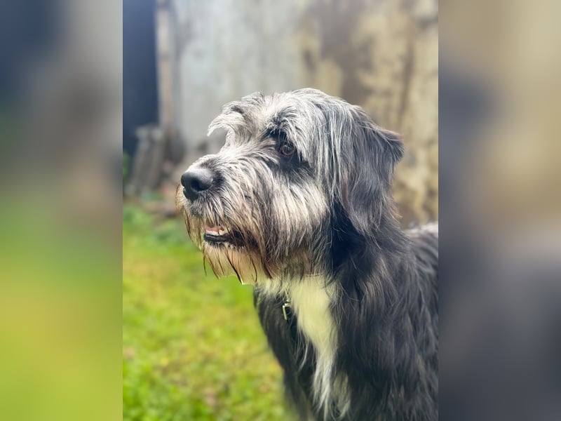 Luka sucht seinen Mensch