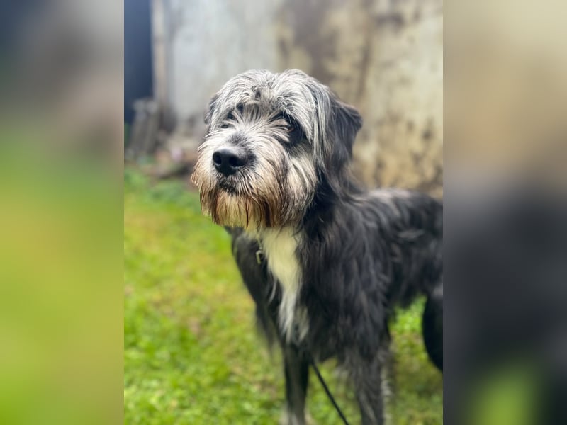 Luka sucht seinen Mensch