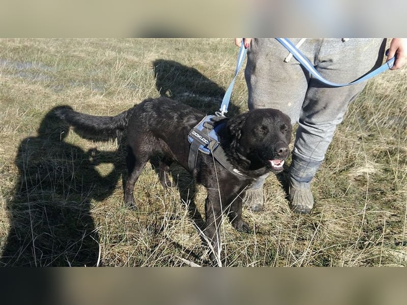 MYLO – genießt die menschliche Nähe sehr