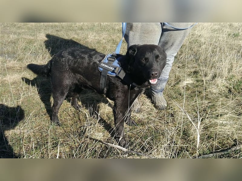 MYLO – genießt die menschliche Nähe sehr