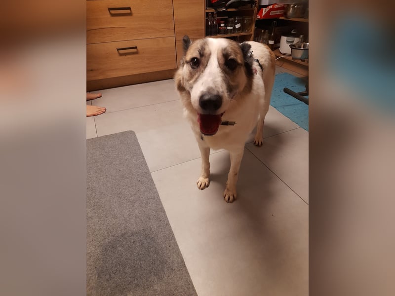 Zabava-Die Fröhliche 10/20