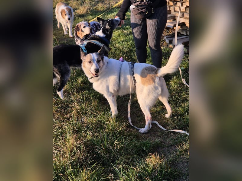 Zabava-Die Fröhliche 10/20