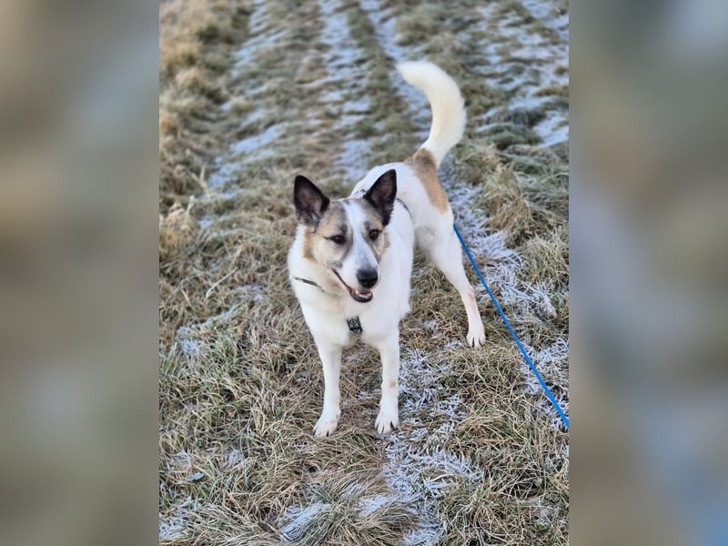 Zabava-Die Fröhliche 10/20