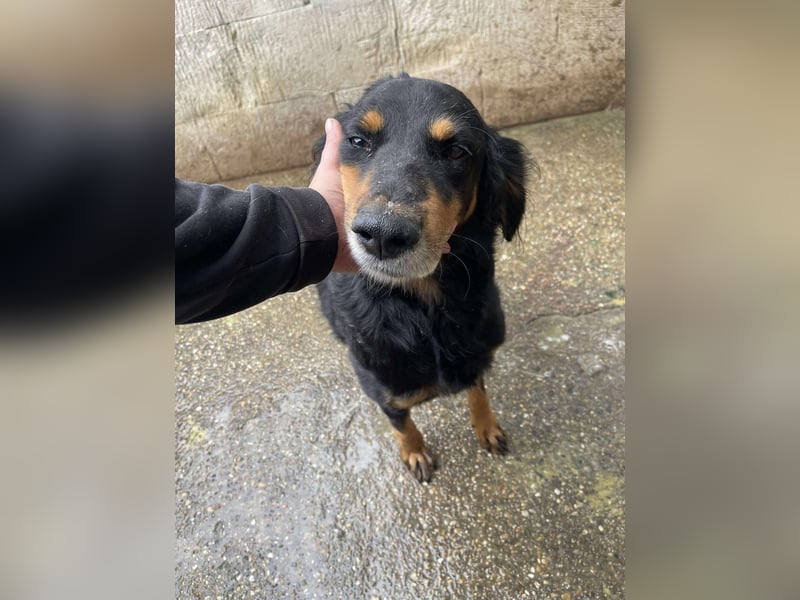 Ein gaaaanz besonders großer Schatz ist „MINKA“