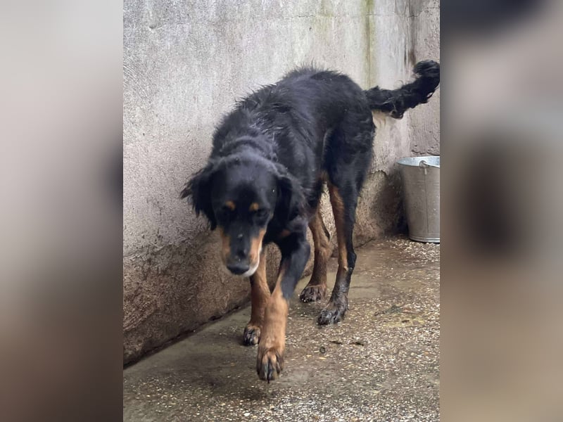 Ein gaaaanz besonders großer Schatz ist „MINKA“