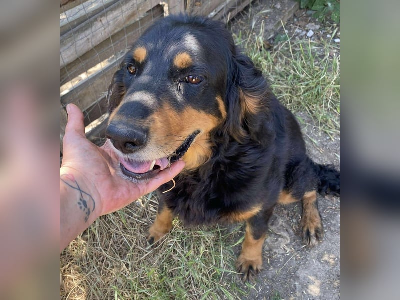 Ein gaaaanz besonders großer Schatz ist „MINKA“