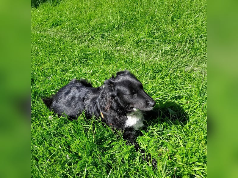 Cindy sucht ihr Traumzuhause-wartet in 94227 Zwiesel