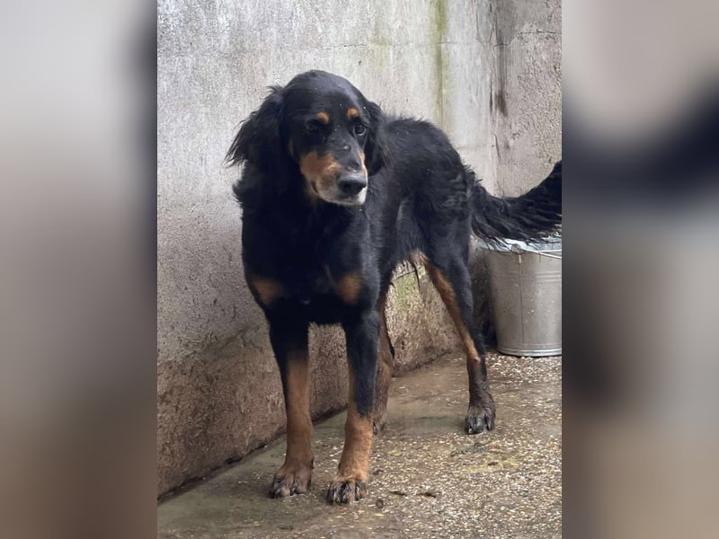 Ein gaaaanz besonders großer Schatz ist „MINKA“