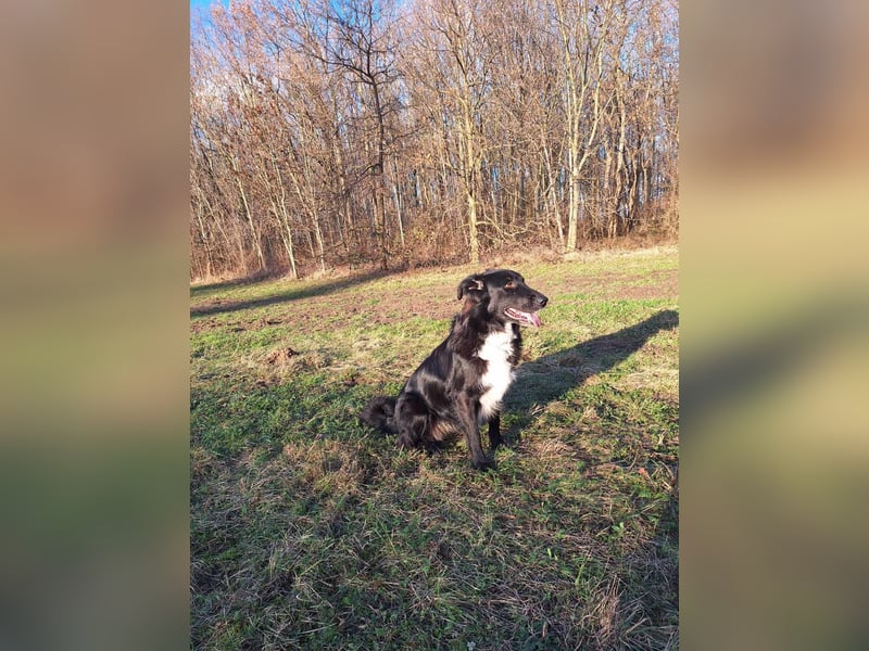 Cindy sucht ihr Traumzuhause-wartet in 94227 Zwiesel