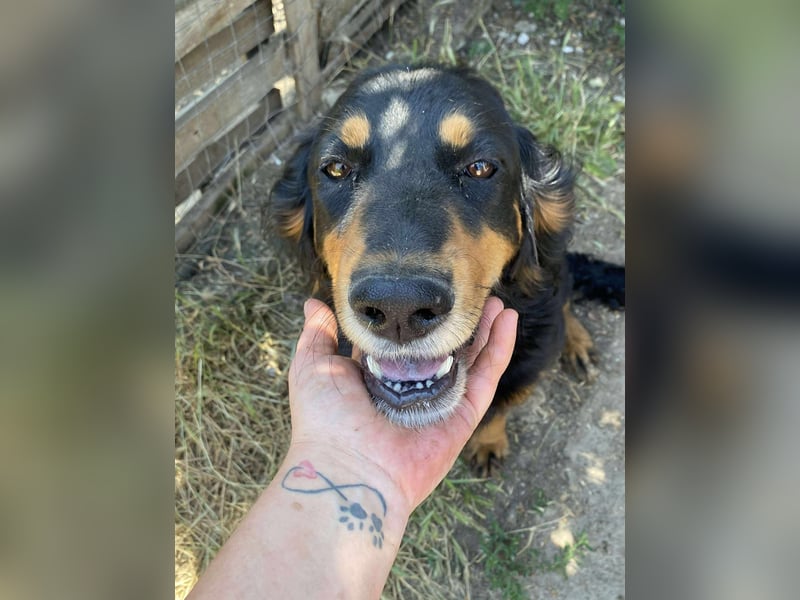 Ein gaaaanz besonders großer Schatz ist „MINKA“