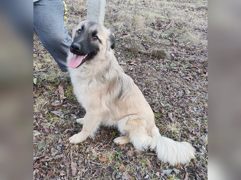 Traumjunge „Kojo“ – ist auf der Suche nach seinem Glück