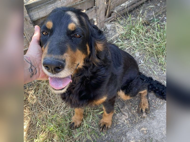 Ein gaaaanz besonders großer Schatz ist „MINKA“