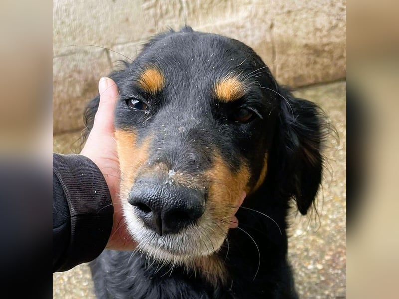 Ein gaaaanz besonders großer Schatz ist „MINKA“