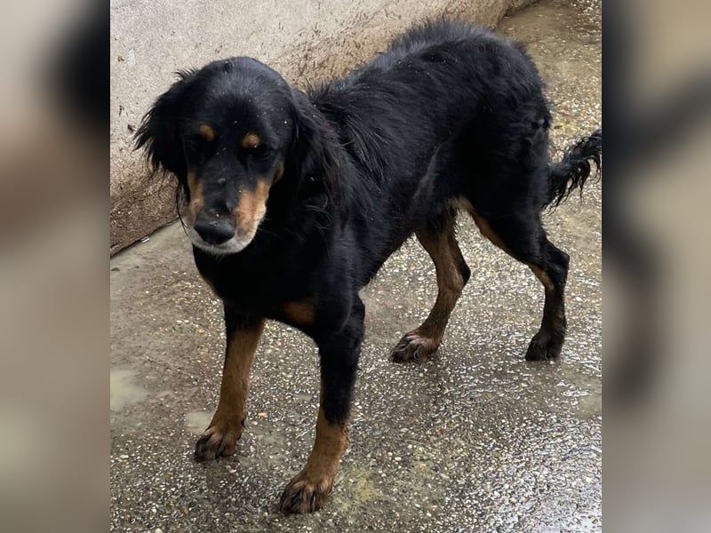 Ein gaaaanz besonders großer Schatz ist „MINKA“