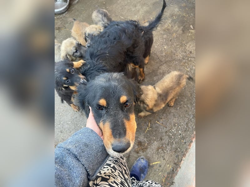 Ein gaaaanz besonders großer Schatz ist „MINKA“