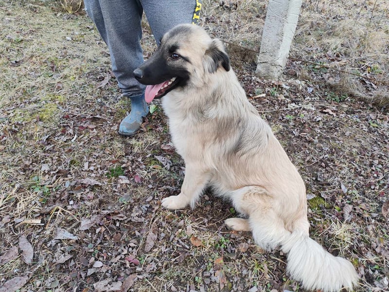 Traumjunge „Kojo“ – ist auf der Suche nach seinem Glück