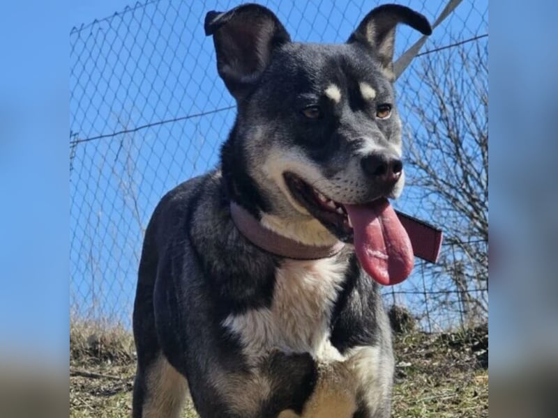 Kayana sucht Spiel und Spaß