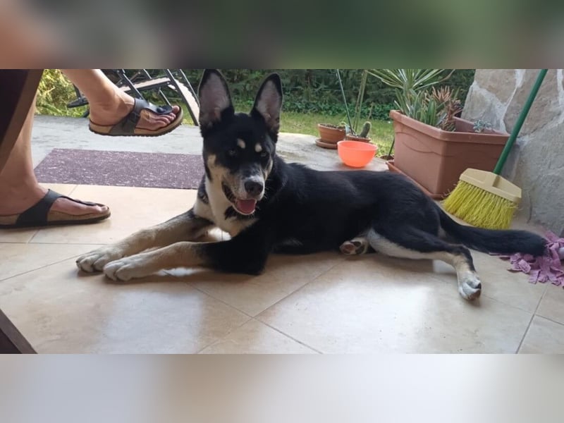 ENDER-IM DORF ALLEIN UNTERWEGS