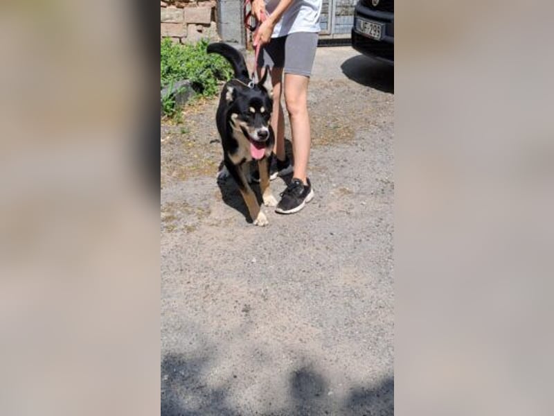 ENDER-IM DORF ALLEIN UNTERWEGS