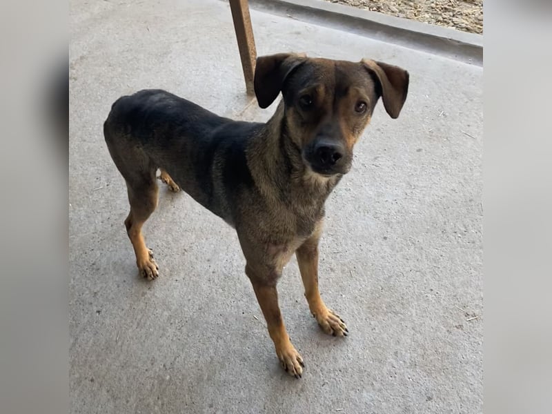 JOSA SUCHT LIEBEVOLLE MENSCHEN