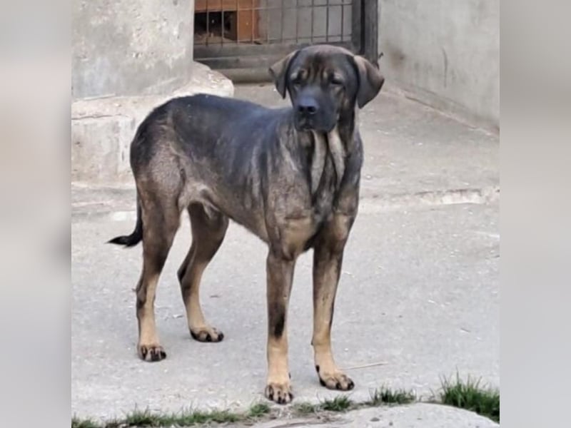 SAMURAI - BRAUCHT NOCH ZEIT