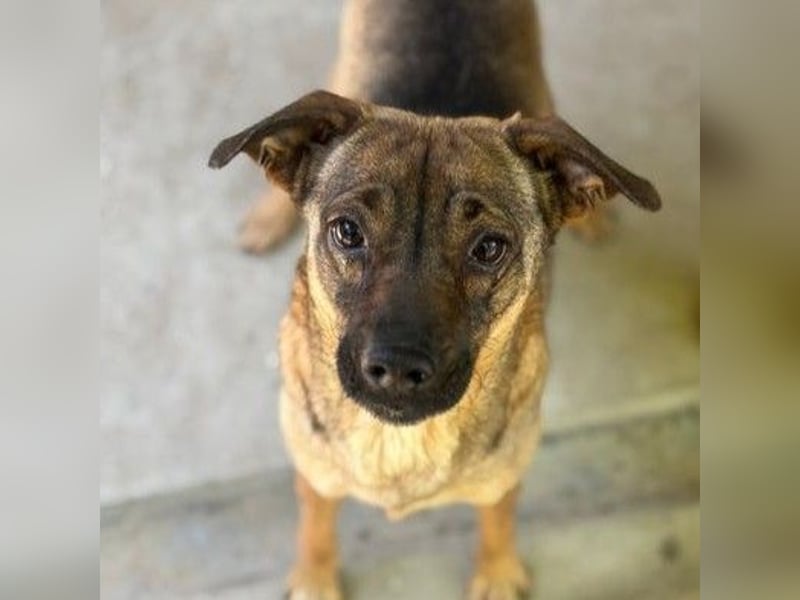 JOSA SUCHT LIEBEVOLLE MENSCHEN