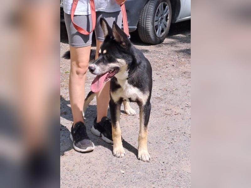 ENDER-IM DORF ALLEIN UNTERWEGS