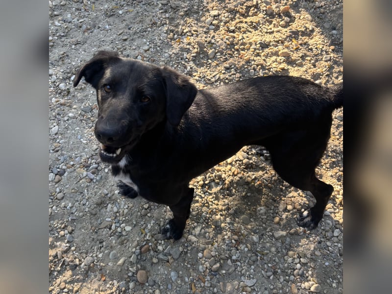 FATIME-ZUHAUSE GESUCHT