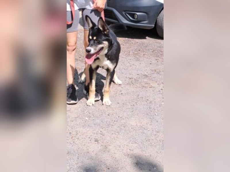 ENDER-IM DORF ALLEIN UNTERWEGS