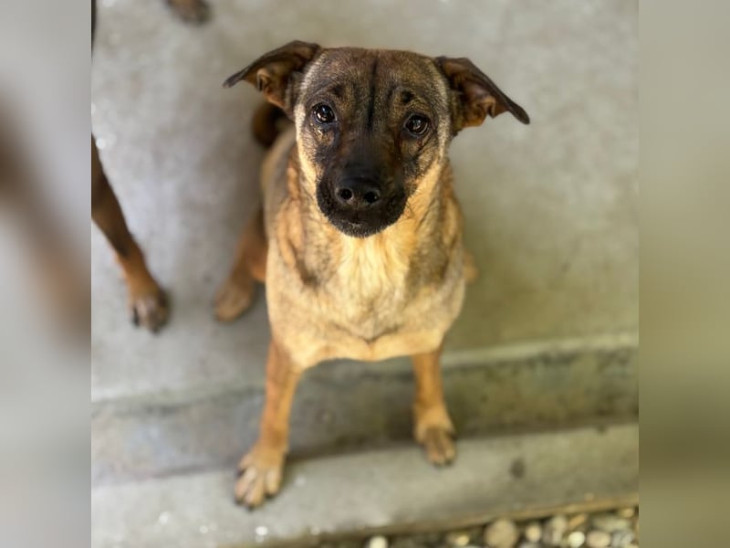 JOSA SUCHT LIEBEVOLLE MENSCHEN