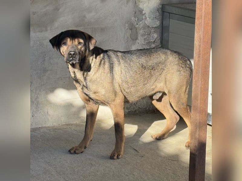 SAMURAI - BRAUCHT NOCH ZEIT