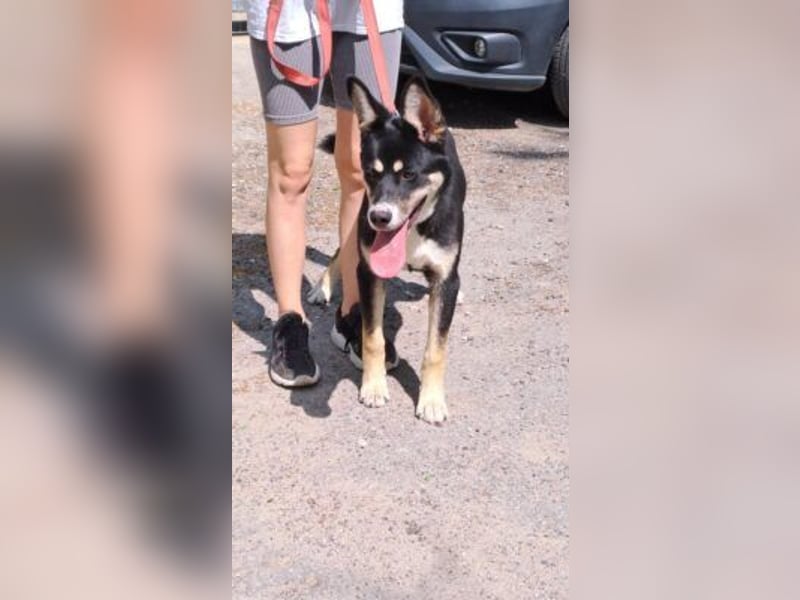 ENDER-IM DORF ALLEIN UNTERWEGS