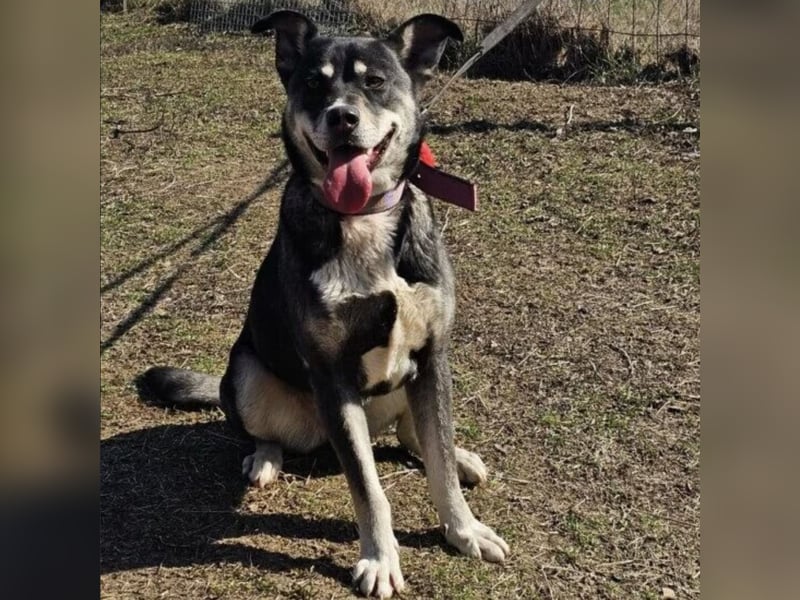 Kayana sucht Spiel und Spaß