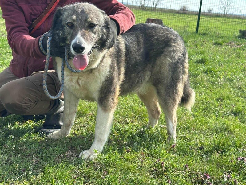 Sunny, geboren 01.12.2019, 63cm sucht ihr Glück