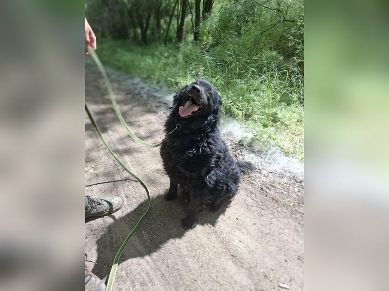 Filip, geb. 03.2024, 55cm sucht geduldige Herzensmenschen