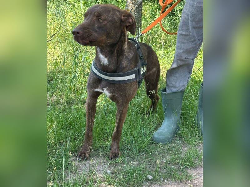 Philip, geb. 04/25, 53 cm wartet auf seine Menschen