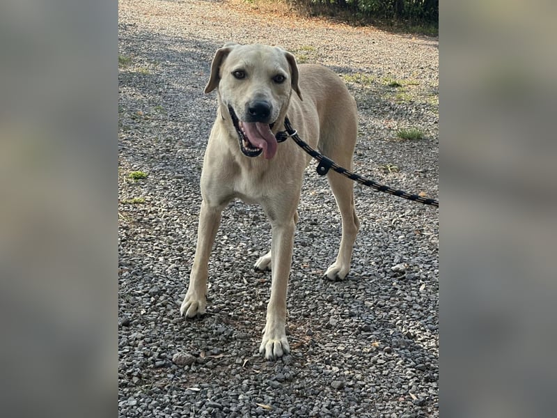 Max, geb. 06.2024, 55cm sucht sein Zuhause